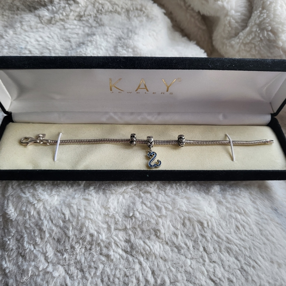 Kay Jewelers Michael Anthony Charmed Memories Bracelet w/Seymour Crystal Charm